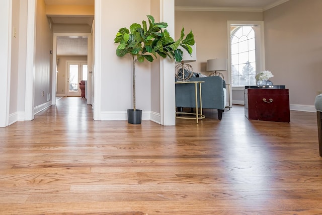 interior space featuring baseboards, wood finished floors, and ornamental molding