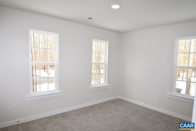 empty room with carpet floors and a wealth of natural light