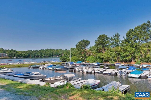 dock area with a water view