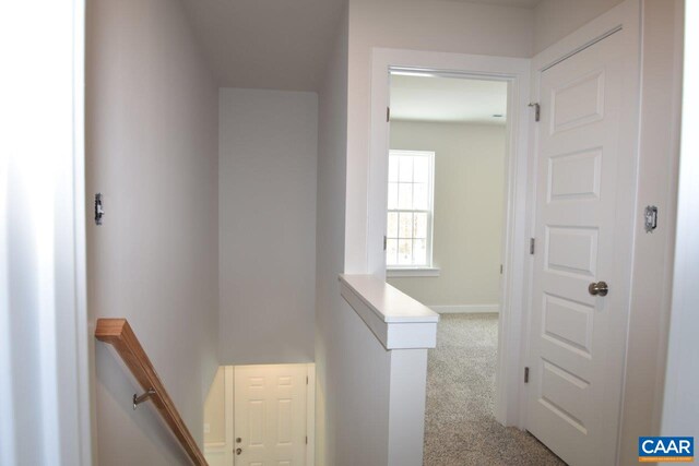 hallway featuring light colored carpet