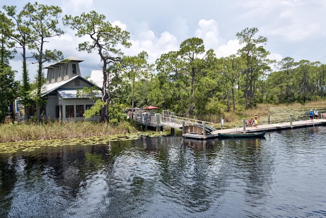 dock area featuring a water view