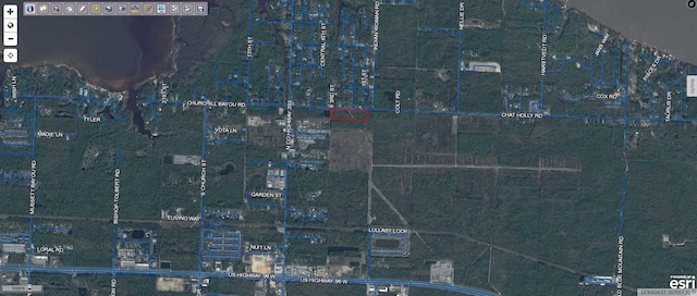 XX Chat Holley Rd, Santa Rosa Beach, FL 32459 - photo 5