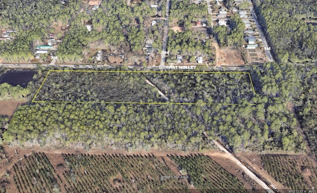 XX Chat Holley Rd, Santa Rosa Beach, FL 32459 - photo 1