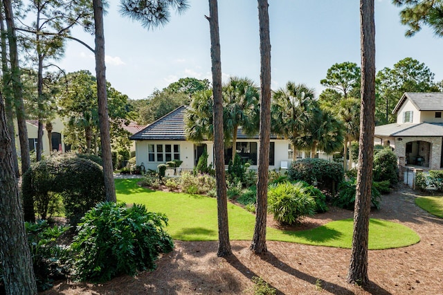 rear view of property with a yard