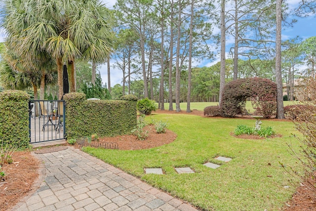 view of yard featuring a gate