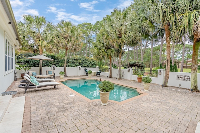 view of pool featuring a fenced backyard, a fenced in pool, and a patio