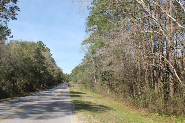 Listing photo 3 for LOT22-A Honey Ln, Crestview FL 32539