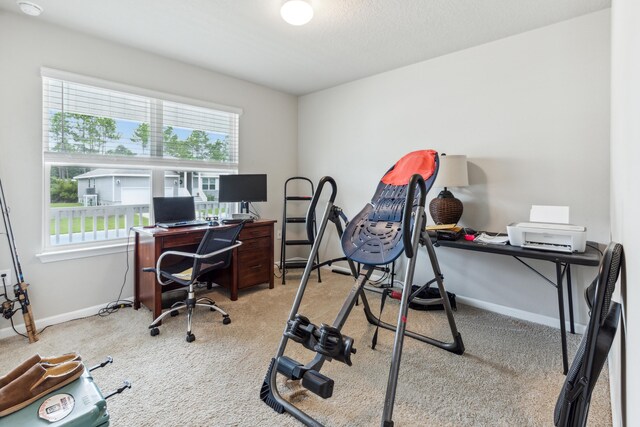 office space with plenty of natural light and light colored carpet