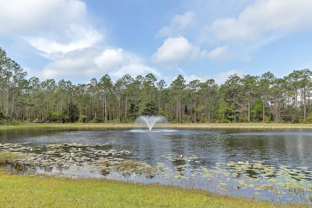 view of water feature