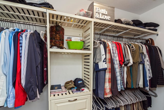 view of walk in closet