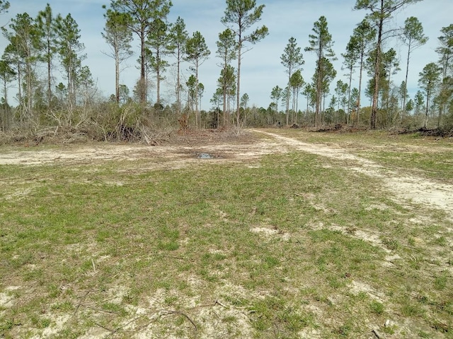 XX N Suttles Dr, Laurel Hill, FL 32567 - photo 4