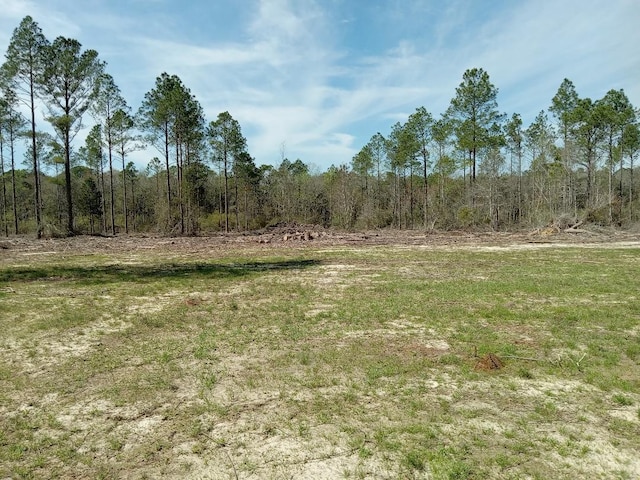 XX N Suttles Dr, Laurel Hill, FL 32567 - photo 6