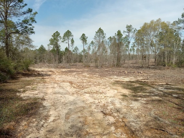 XX N Suttles Dr, Laurel Hill, FL 32567 - photo 7