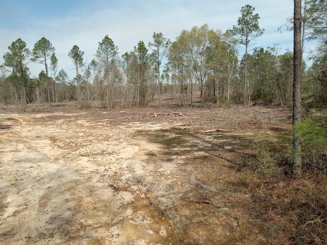 XX N Suttles Dr, Laurel Hill, FL 32567 - photo 8