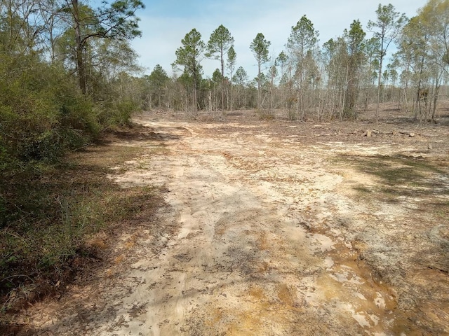 XX N Suttles Dr, Laurel Hill, FL 32567 - photo 9