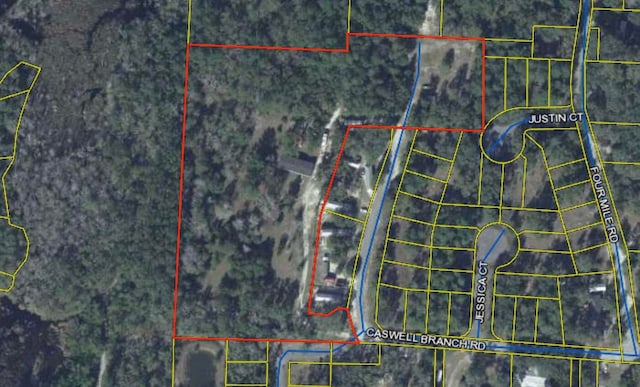 197 Caswell Branch Rd, Freeport FL, 32439 land for sale