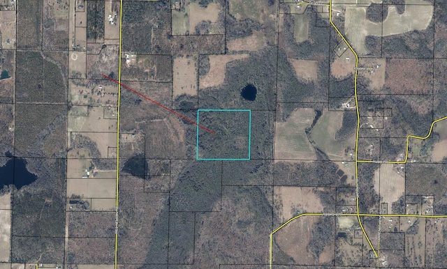 Listing photo 2 for 80ACRES Wes Nelson Rd, Chipley FL 32428