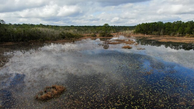 LOT6 Marion Dr, Defuniak Springs, FL 32433