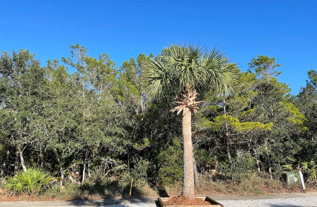 430 Lakefront Dr, Panama City Beach, FL 32413 - photo 1