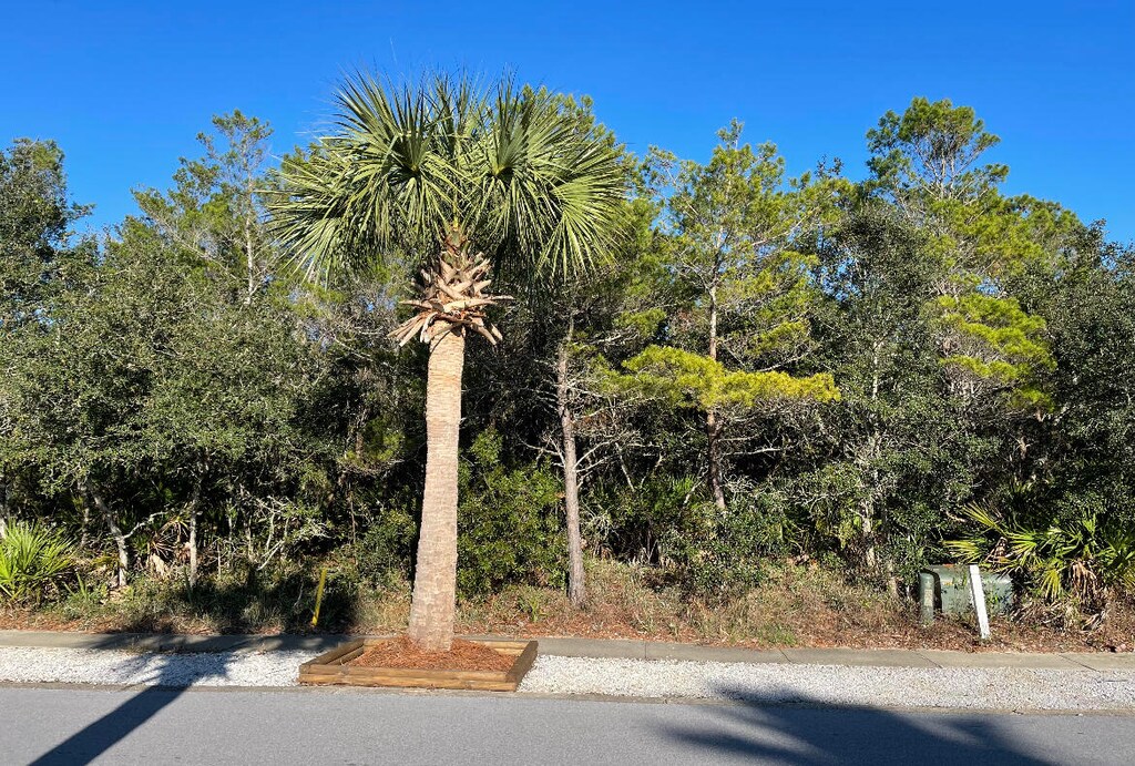 430 Lakefront Dr, Panama City Beach, FL 32413 - photo 2