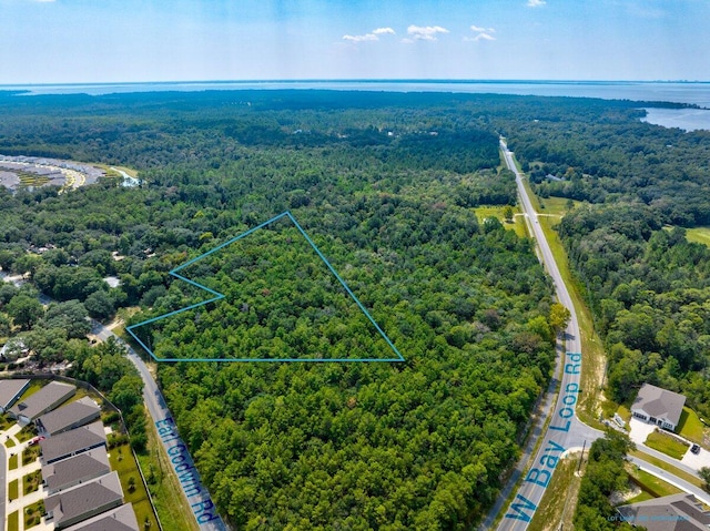 000 Earl Godwin Rd, Freeport FL, 32439 land for sale