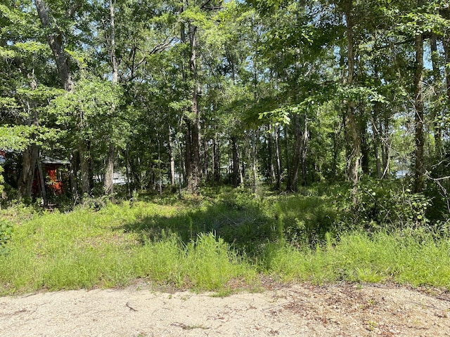 Listing photo 3 for LOT21 E Bayou Forest Dr, Freeport FL 32439