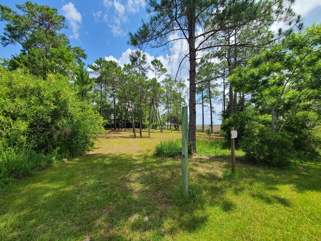 LOT2 Indiangrass Ln, Santa Rosa Beach, FL 32459