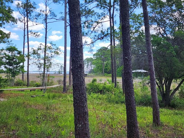 LOT2 Indiangrass Ln, Santa Rosa Beach, FL 32459