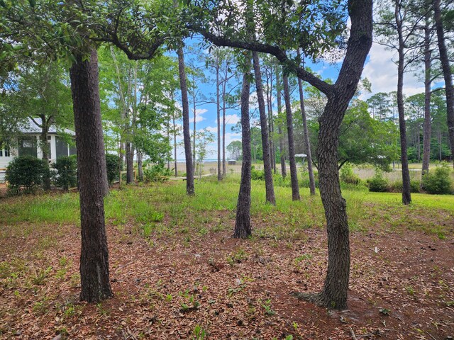 LOT2 Indiangrass Ln, Santa Rosa Beach, FL 32459