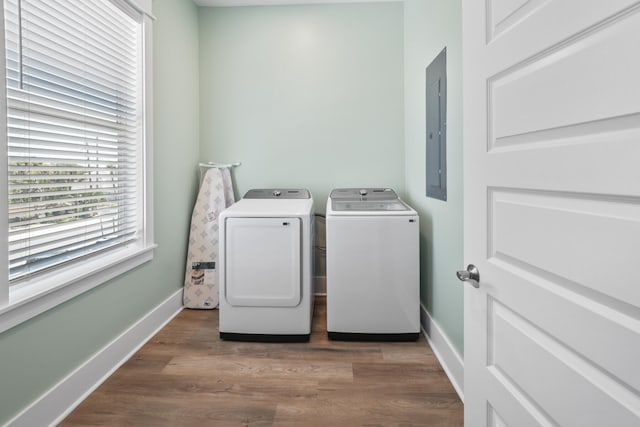 washroom with dark wood-type flooring and washer and clothes dryer