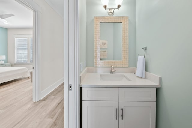 bathroom featuring wood-type flooring and vanity