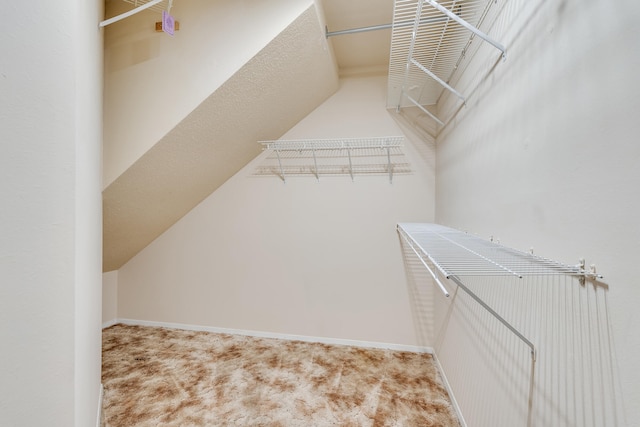 walk in closet with carpet floors