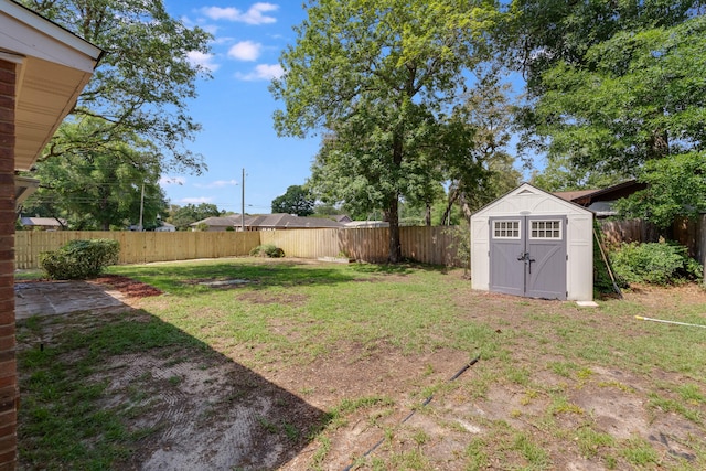 view of yard with a storage unit