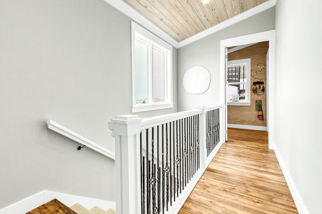 corridor featuring ornamental molding, light hardwood / wood-style flooring, a healthy amount of sunlight, and wood ceiling