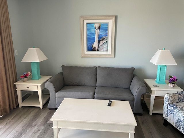 living room with dark hardwood / wood-style flooring