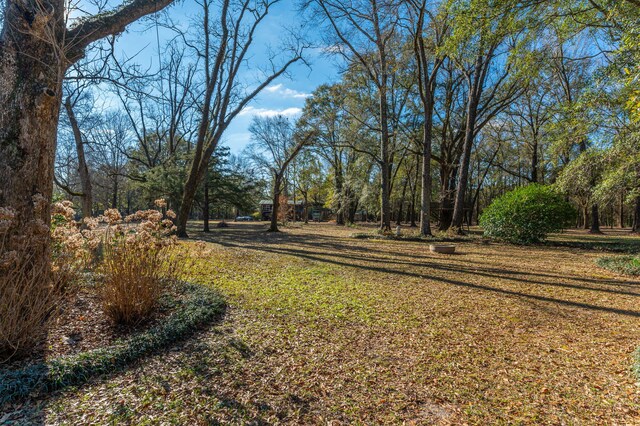 5771 Flora Lee Ln, Crestview, FL 32539 - photo 29