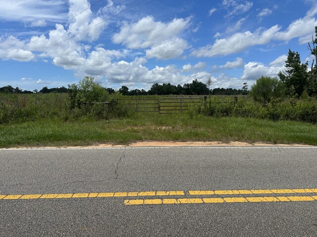 TBD Highway 90, Cottondale, FL 32431 - photo 17