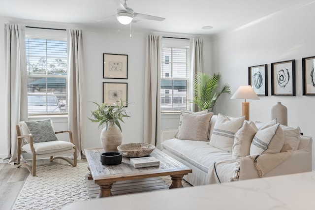 living room with ceiling fan and hardwood / wood-style flooring