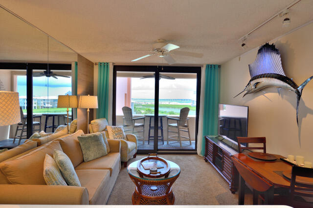 carpeted living room featuring floor to ceiling windows, ceiling fan, and track lighting