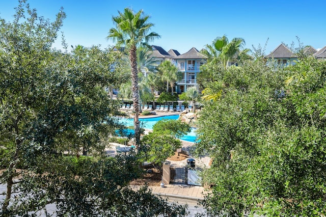 view of swimming pool