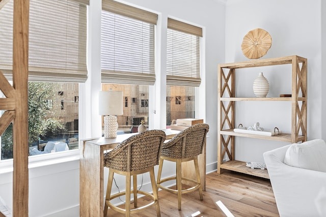 dining space featuring light hardwood / wood-style floors