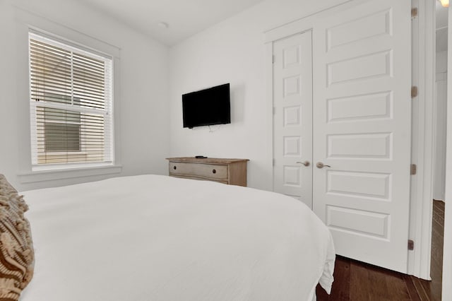 bedroom featuring dark wood-type flooring and a closet