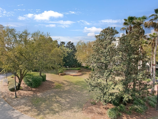 view of local wilderness