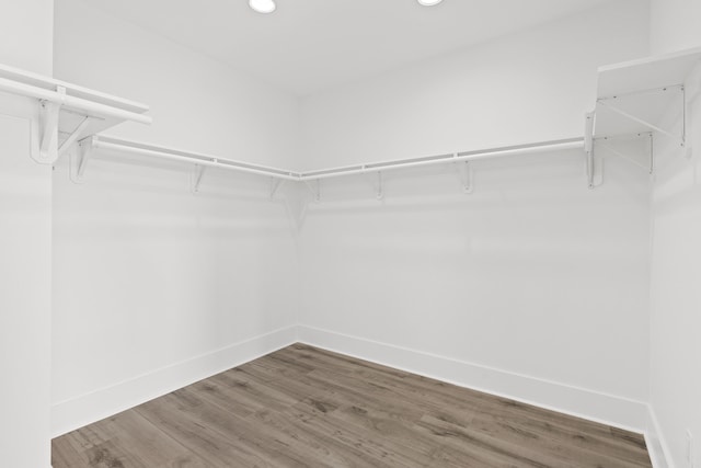 walk in closet with wood-type flooring