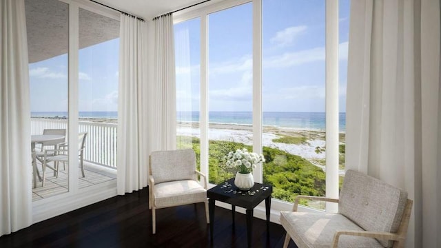 living area featuring a beach view, dark hardwood / wood-style flooring, and a water view