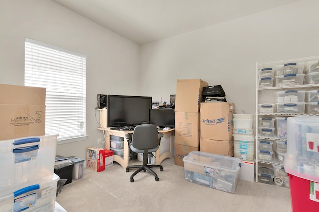 home office with light carpet