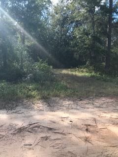 000 Harstvedt Rd, Santa Rosa Beach FL, 32459 land for sale