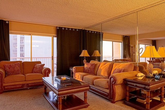 carpeted living room with a textured ceiling