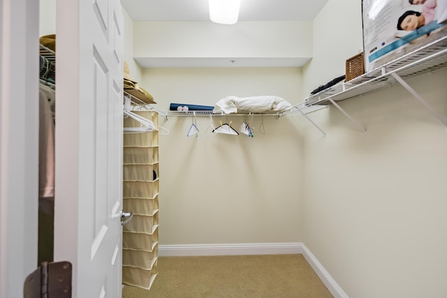 spacious closet with light carpet