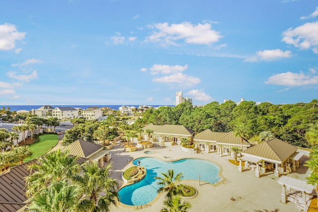 view of pool with a patio area